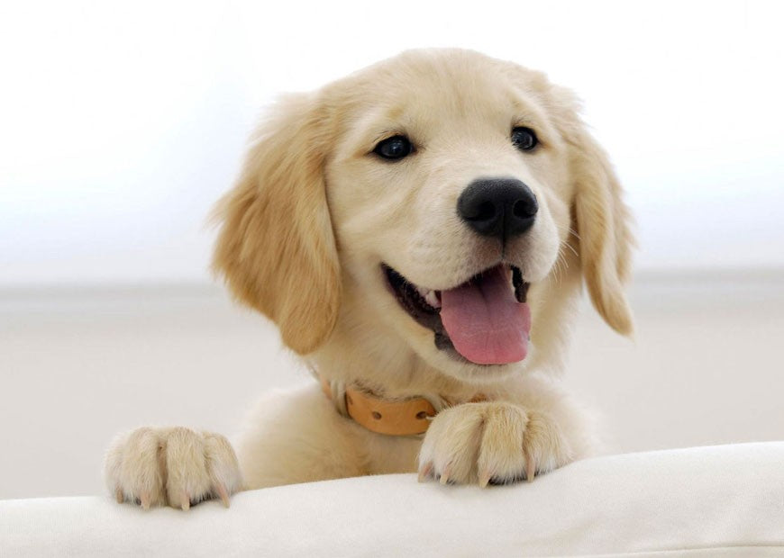 Christmas Sale is here 7