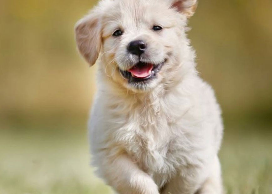 Upon of seasons dominion