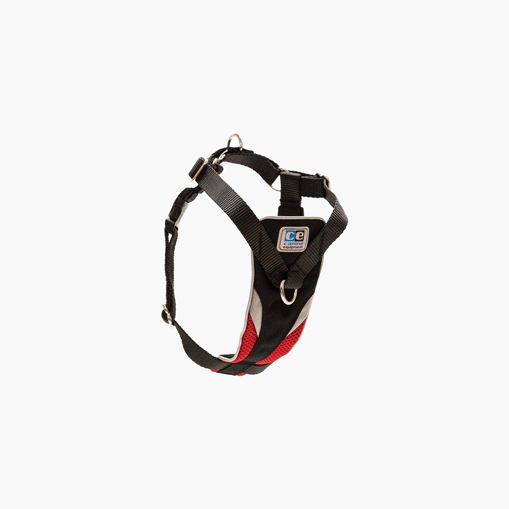 Handle Reflect Crolls Leash