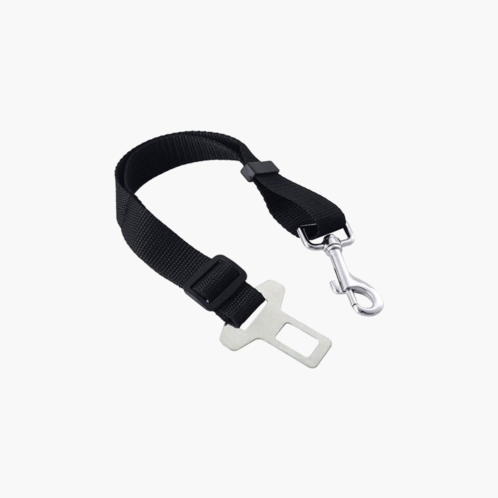 Handle Reflect Crolls Leash