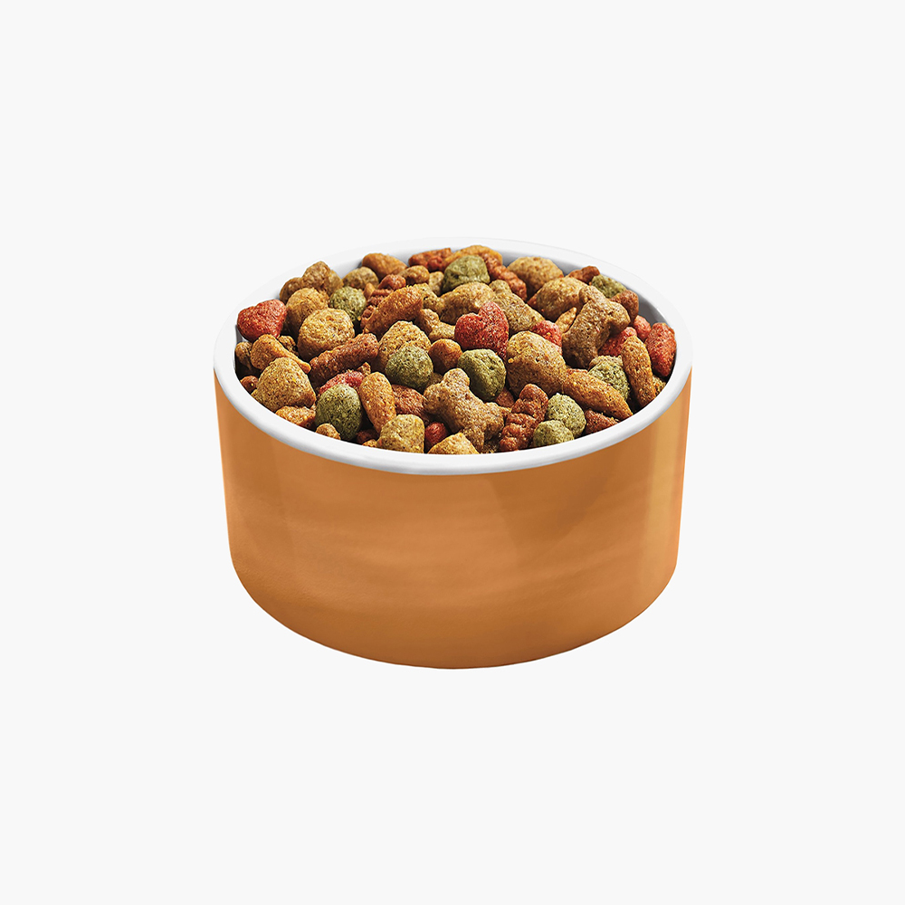 Chocolate brownie Padigree